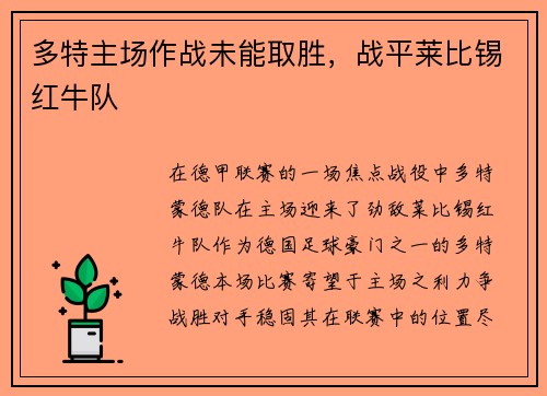 多特主场作战未能取胜，战平莱比锡红牛队