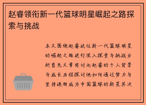 赵睿领衔新一代篮球明星崛起之路探索与挑战
