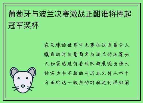 葡萄牙与波兰决赛激战正酣谁将捧起冠军奖杯