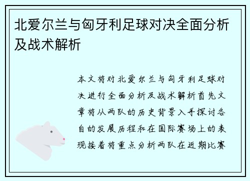 北爱尔兰与匈牙利足球对决全面分析及战术解析