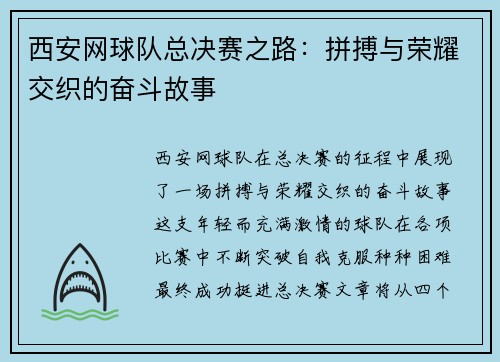 西安网球队总决赛之路：拼搏与荣耀交织的奋斗故事